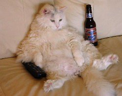 sit-on-backside-doing-nothing.jpg