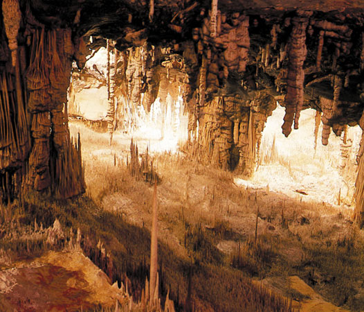 Cuevas del Drac