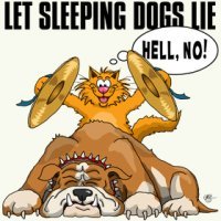 let sleeping dogs lie