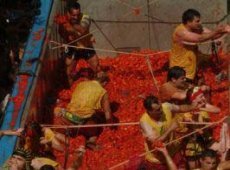 tomatina