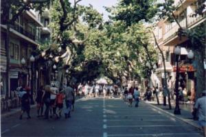 denia calle campo