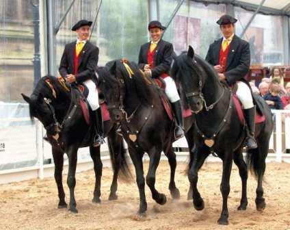 3 Menorcan horses