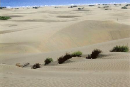 las dunas de maspalomas