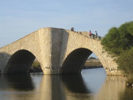 La manga humpback bridge near Veneciola