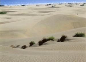 maspalomas sands