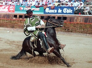 chile-rodeo.jpg