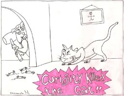 curiosity killed the cat