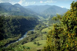 ecuador-coastal.jpg