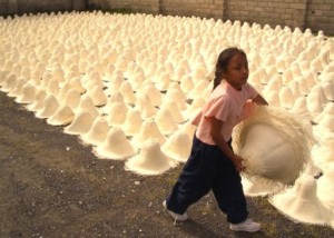 ecuador-panama_hats.jpg