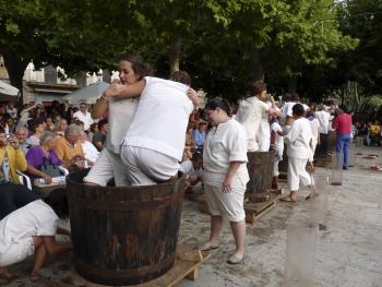 Grape treading - Festa des Vermar