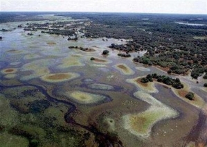 paraguay-pantanal-wetland.jpg