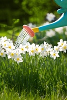 watering can