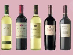 argentina-wine.jpg
