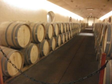 chile-concha-y-toro-cellar-of-barrels.JPG