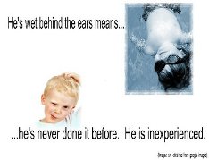 to-be-wet-behind-the-ears.jpg